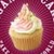 Vanilla Cupcake