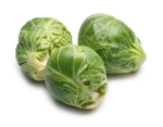 Large_thumb