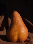 Large_thumb