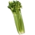 Celery