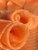Smoked Salmon slice