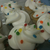 Mini Cupcakes