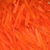 DAB Shredded Carrots