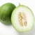 Melon vert - Green Melon