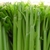 DAB Celery