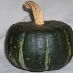 Large_thumb