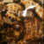 Chocolate Chunk Bar