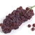 Champagne Grapes