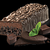 Chocolate Mint Cookie Crunch Balance Gold Bar