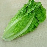 Large_thumb