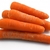 Carrots, raw (1 cup chopped)