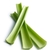Celery, raw (1 stalk, large (11"-12" long))