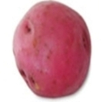 Large_thumb