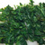 Spinach, frozen, chopped or leaf, unprepared (1 cup)