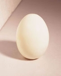 Large_thumb