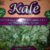 Trader Joe's Kale