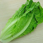 Large_thumb