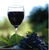 Alcoholic Beverage, wine, table, red, Pinot Noir (1 serving 5 fl oz)