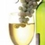 Alcoholic beverage, wine, table, white, Sauvignon Blanc (1 serving 5 fl oz)