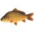 Fish, carp, raw (3 oz)